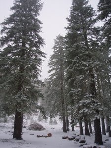 Snowy Tahoe