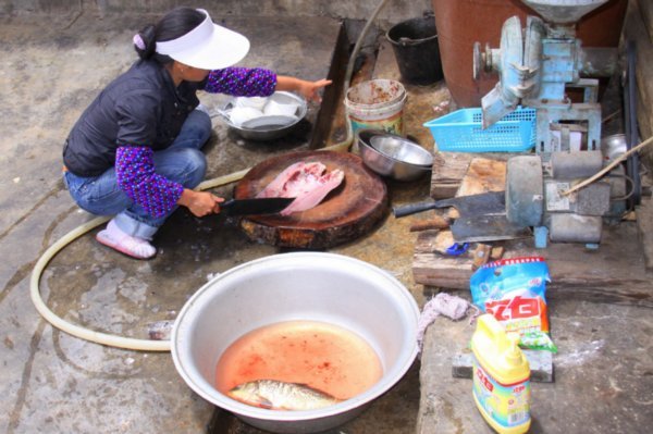 Preparing the fishes for lunch
