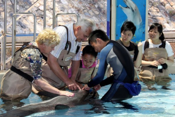Dolphin Encounter Ocean Park Hong Kong