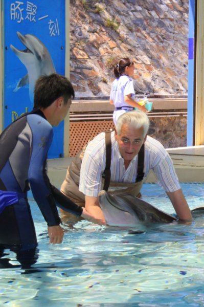 Dolphin Encounter Ocean Park Hong Kong