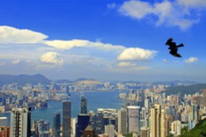 Stunning scenic views of Hong Kong, Victoria Harbour and Kowloon