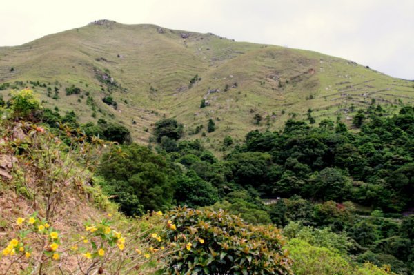 Kadori Nature Reserve
