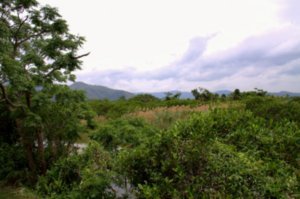 Scenic view - Mai Po Nature Reserve 