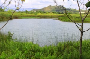 Mai Po Nature Reserve