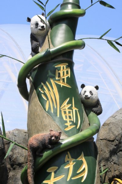 The new Giant Panda Enclosure