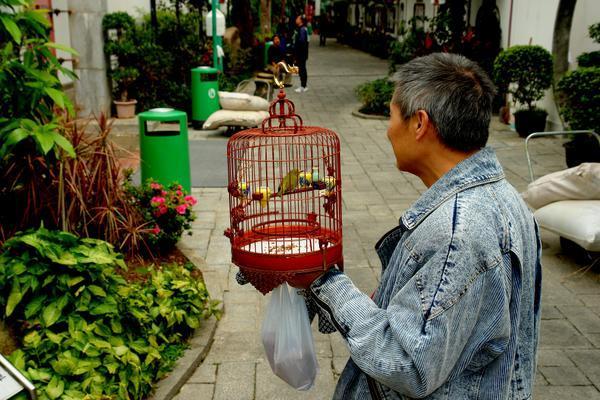 Vogeltjesmarkt - Mong Kok