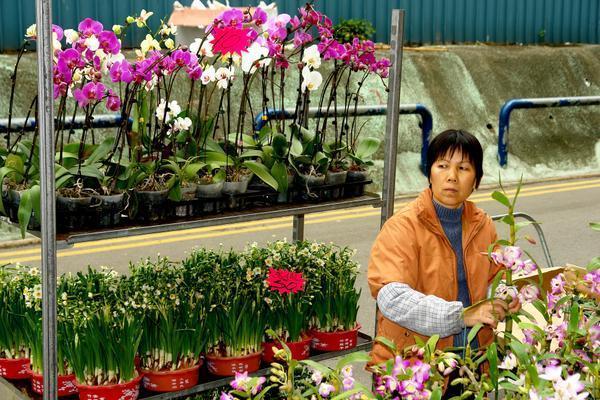 Flower Market - Mon Kok