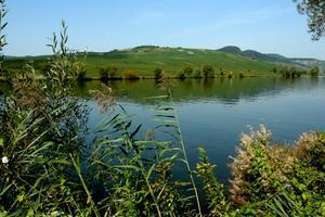The river Mosel