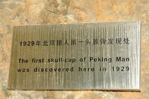 Discovery of the Pekingman