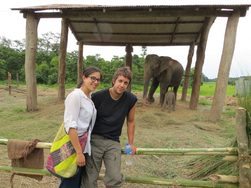 Elephant Breeding Centre, Chitwan