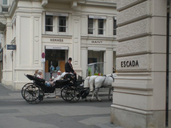 Horse n carrage around the museum square