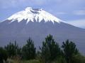 The Indominatible Cotopaxi