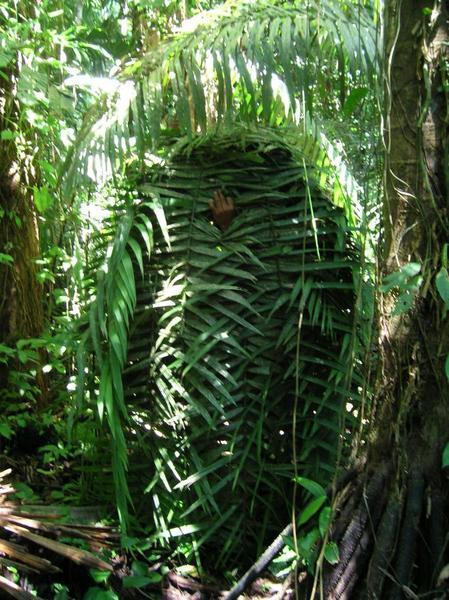 Domingo's Jungle Shelter
