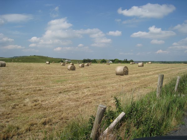 Scenic Hay Field