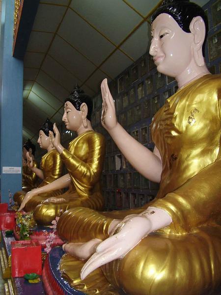 Sitting Buddhas