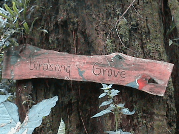Birdsong Grove