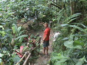 The trail behind Casa Mariposa