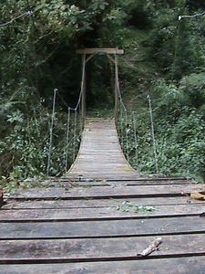 The suspension bridge