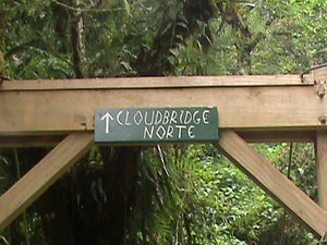 The sign to go past the bridge