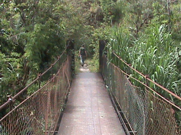 The suspension bridge with Nick ahead