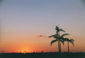 Typical Florida sunset