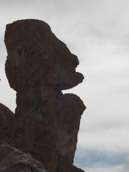 How much does this rock look like Homer Simpson!?