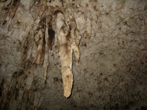 Inside Cave 6