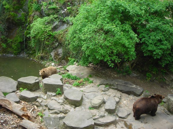 Bear Pit at Cesky Krumlov Castle