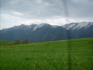 beautiful austrian alps and meadows