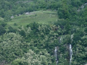 house vineyard and waterfalls in swiss alps