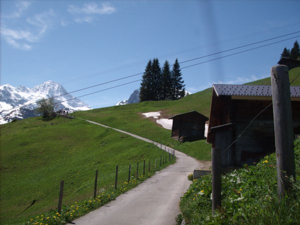 Trail to Gimmelwald 1