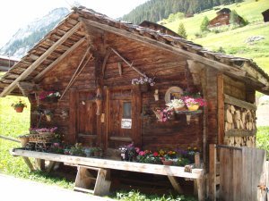 cute swiss chalet where they make cheese in gimmelwald