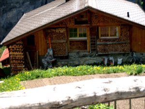 how they store firewood in gimmelwald
