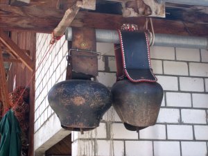 huge cowbells hanging from the roof in gimmelwald