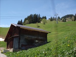 trail to gimmelwald 2