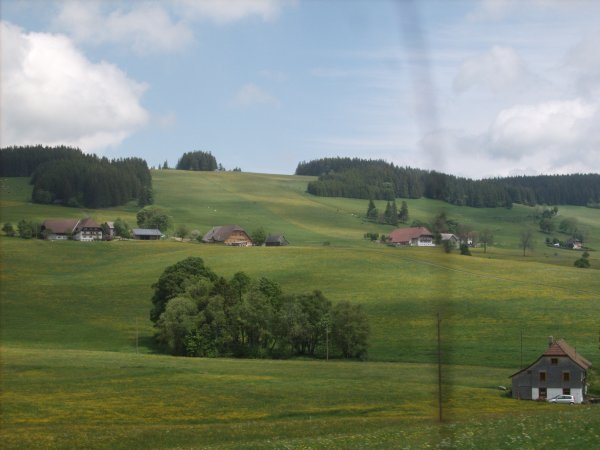 Houses in the black forest