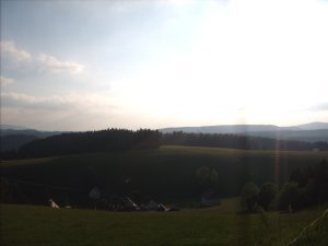 pretty view of the black forest as the sun was setting