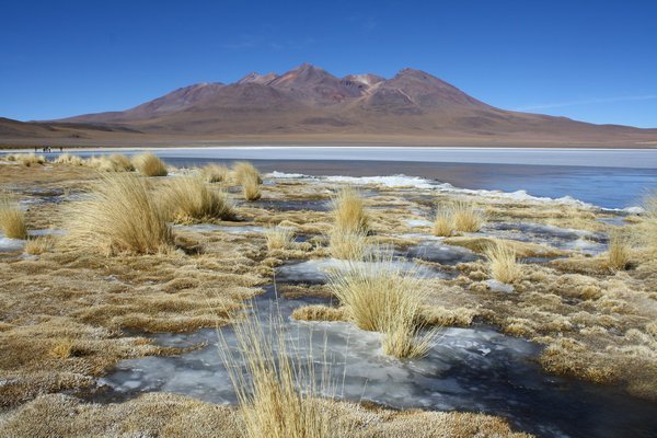 Altiplano Laguna