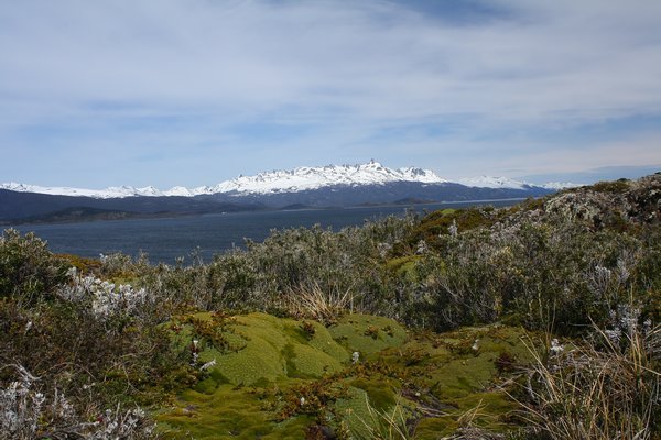 Across The Beagle Channel