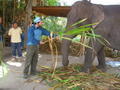 Me with Elephant