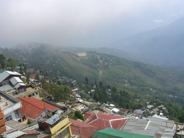 Misty Darjeeling Hills