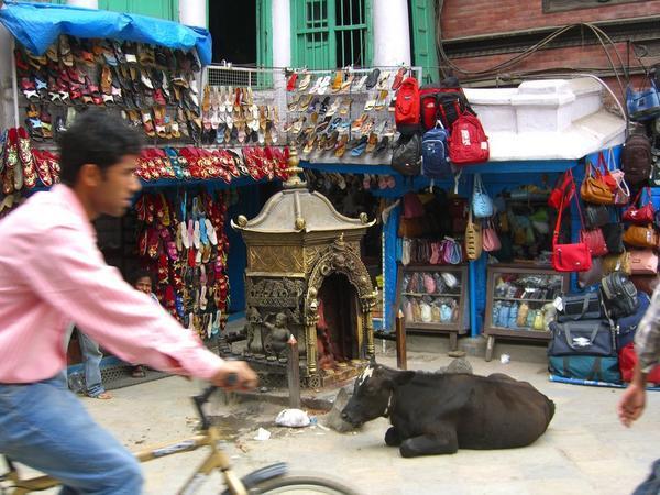Kathmandu Street Scene
