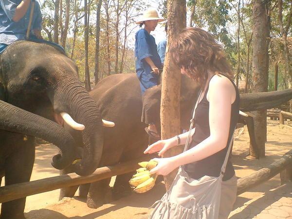 me feeding elephants bananas