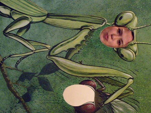 kim as a fly eating cricket... and she calls herself veggie. tut