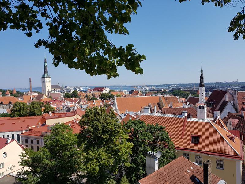 Overlooking Tallinn
