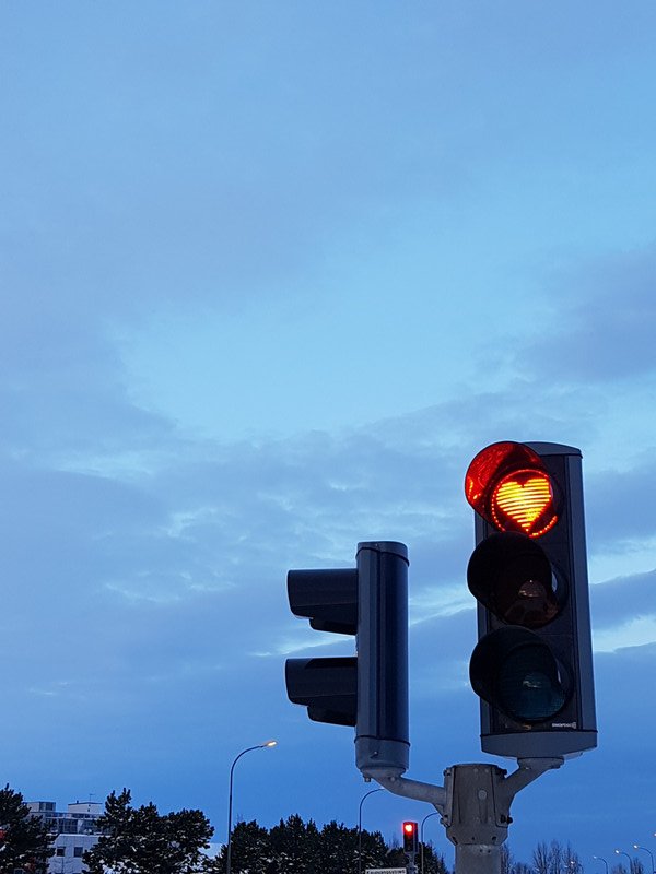 Look at their cute stop lights!