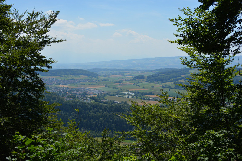 View from Uetliberg