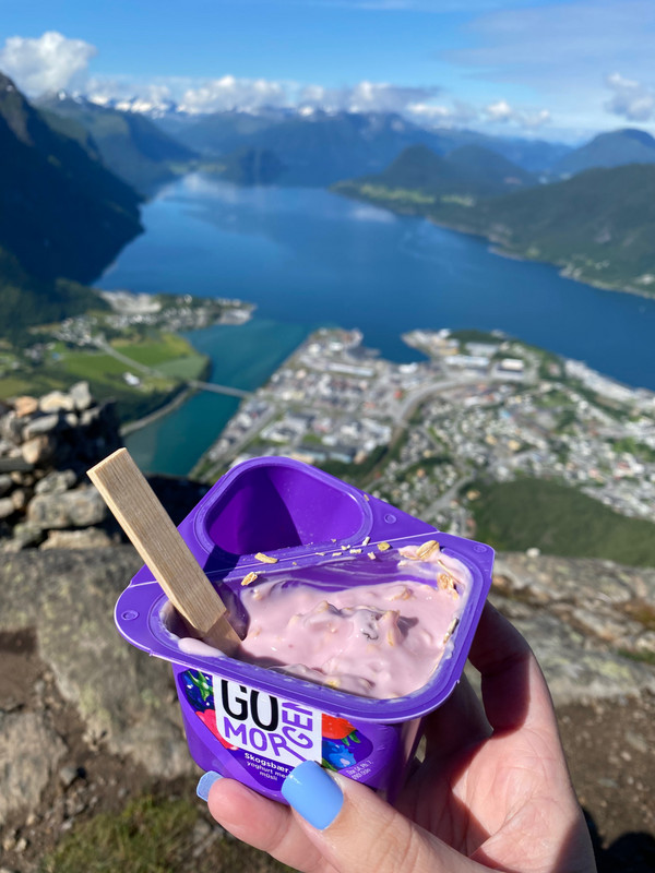 One last mountain top yogurt