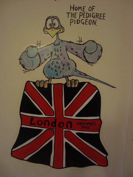 London Backpacker's pidgeon