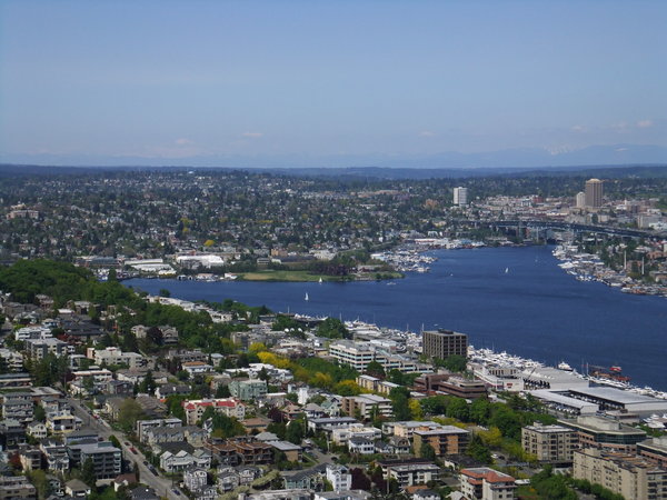 Overlooking the lake